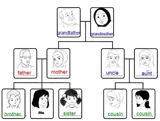 family tree